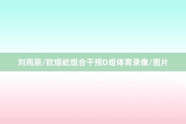 刘雨辰/欧烜屹组合干预D组体育录像/图片