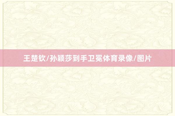 王楚钦/孙颖莎到手卫冕体育录像/图片